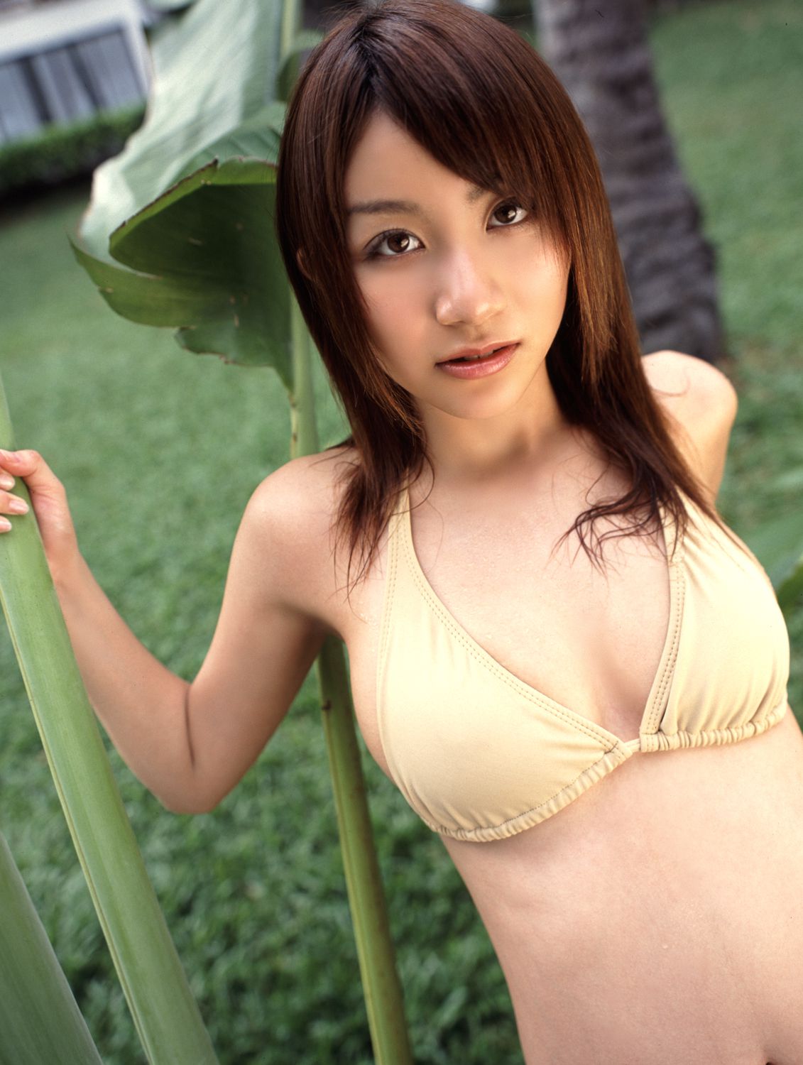 M940-[DGC] NO.244 Ai Kawanaka 河中麻系/河中爱 - 94零社区 DGC-第3张