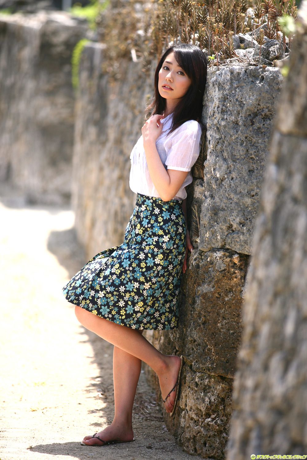 M940-[DGC] NO.621 Momoko Tani 谷桃子 Gravure Idols - 94零社区 DGC-第2张