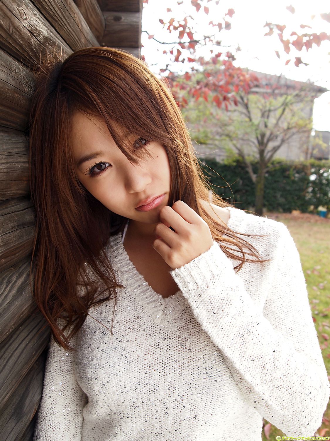 M940-[DGC] NO.915 Mai Nishida 西田麻衣 Gravure Idols - 94零社区 DGC-第3张