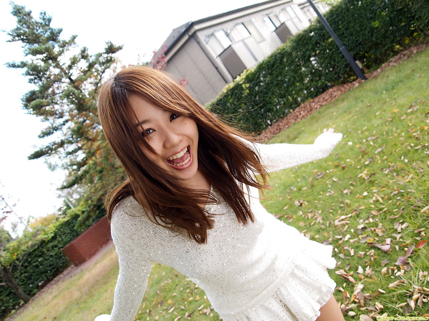 M940-[DGC] NO.915 Mai Nishida 西田麻衣 Gravure Idols - 94零社区 DGC-第90张