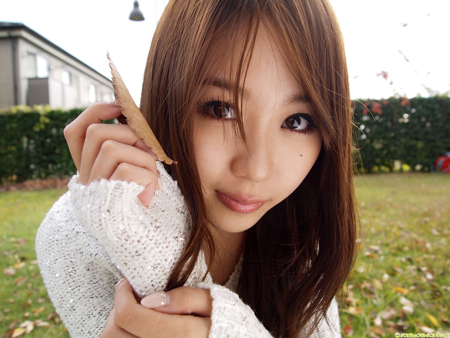 M940-[DGC] NO.915 Mai Nishida 西田麻衣 Gravure Idols - 94零社区 DGC-第93张