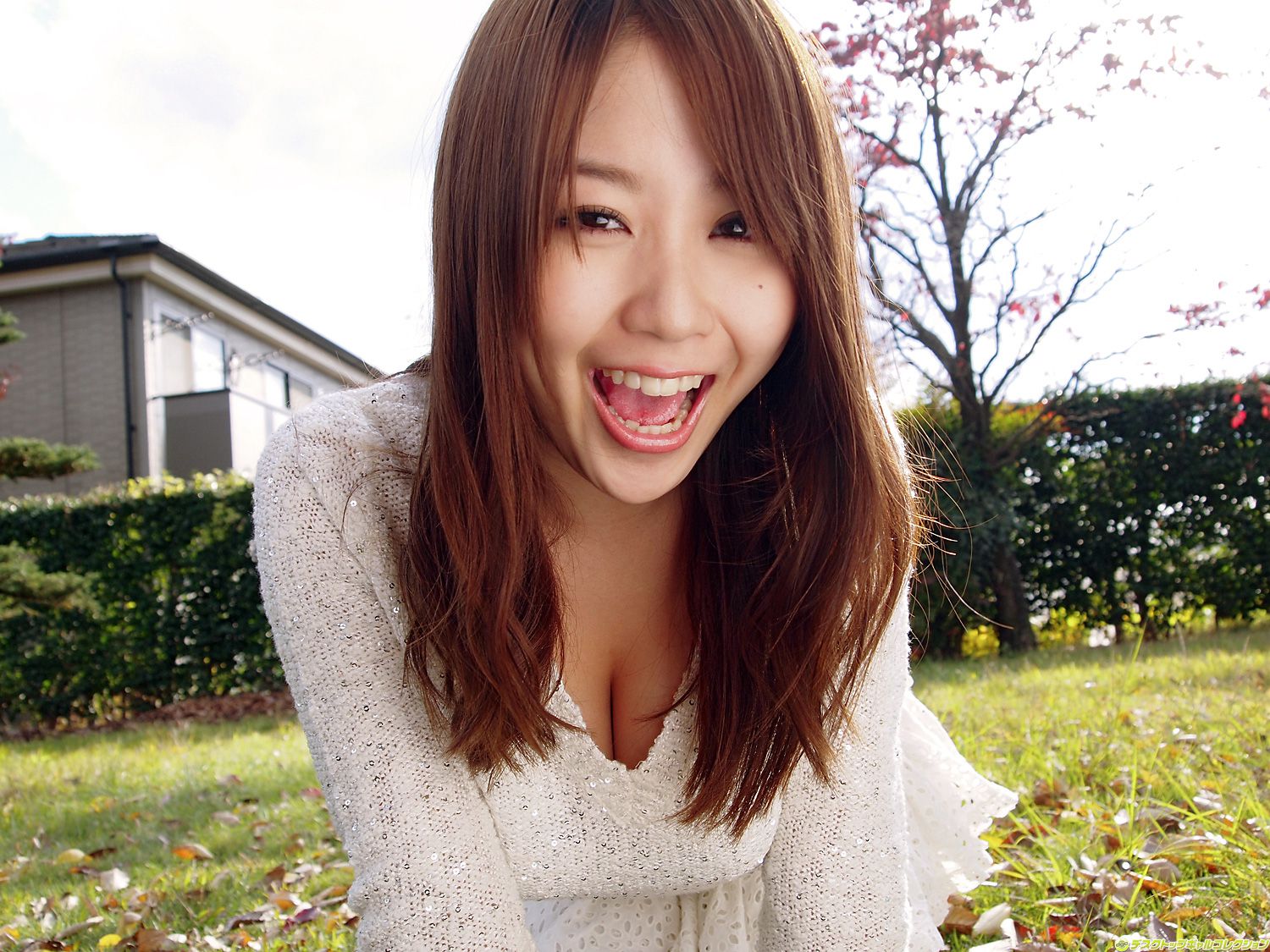 M940-[DGC] NO.915 Mai Nishida 西田麻衣 Gravure Idols - 94零社区 DGC-第95张