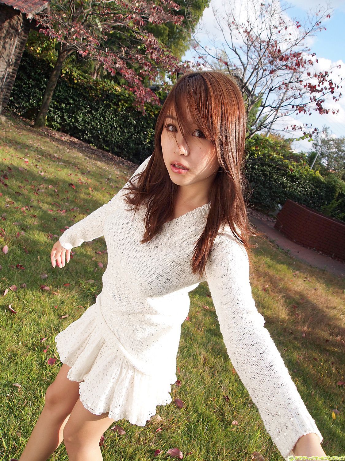 M940-[DGC] NO.915 Mai Nishida 西田麻衣 Gravure Idols - 94零社区 DGC-第99张