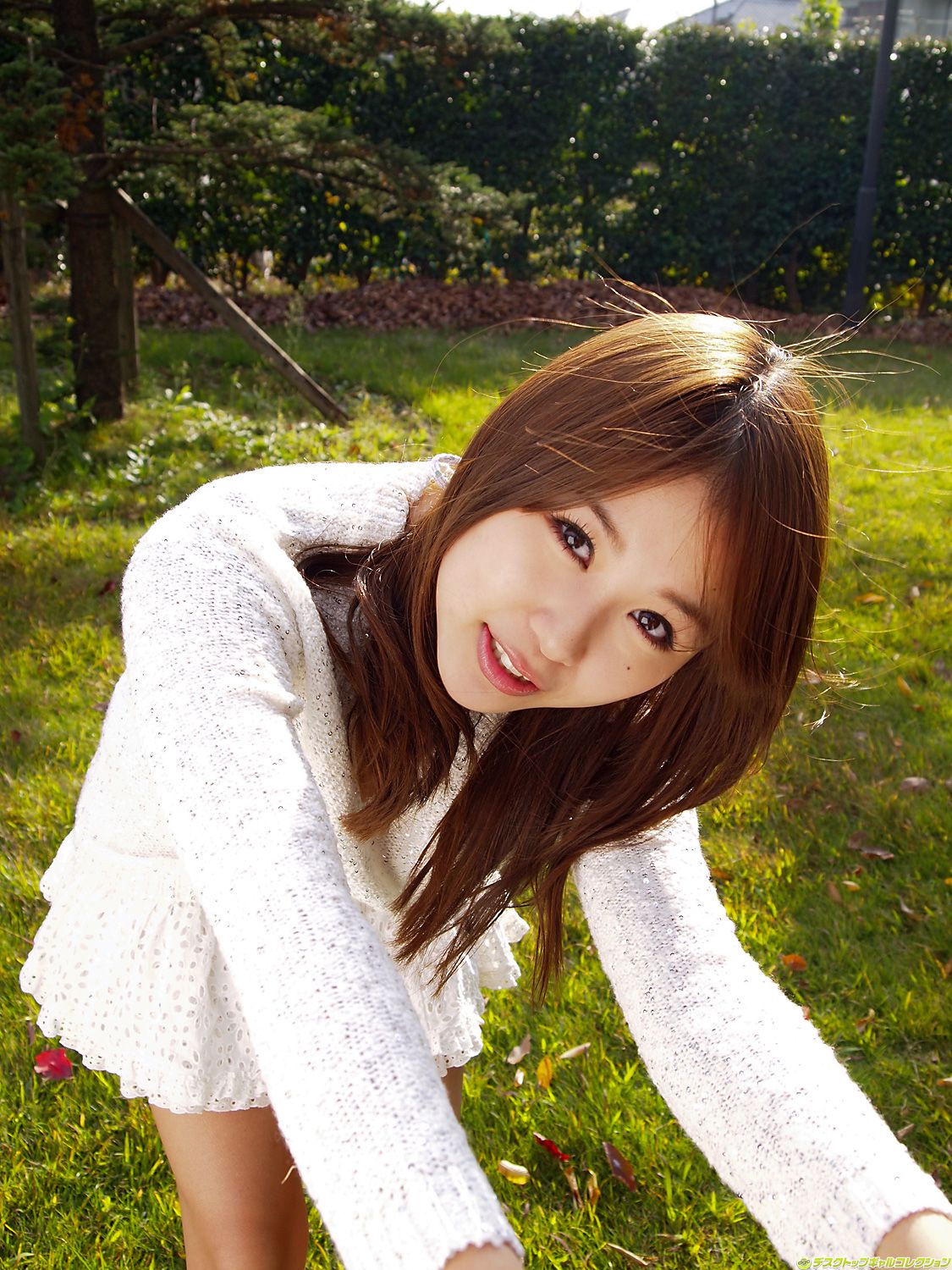 M940-[DGC] NO.915 Mai Nishida 西田麻衣 Gravure Idols - 94零社区 DGC-第100张