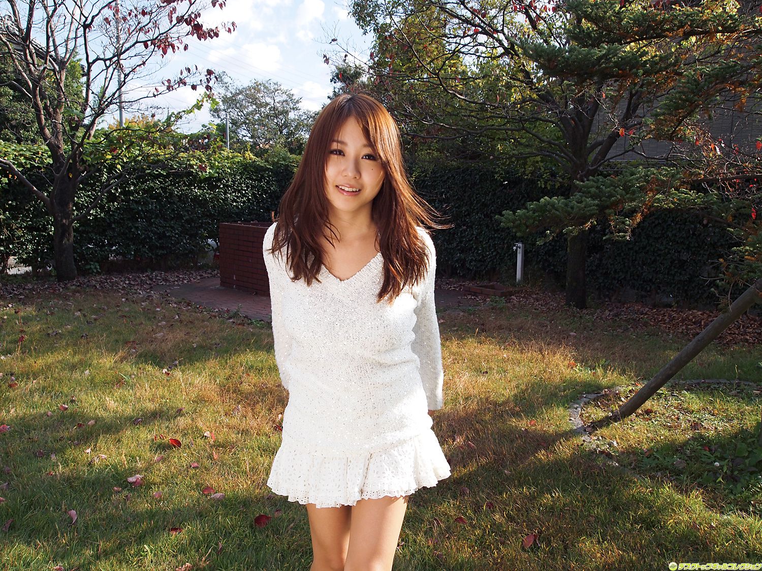 M940-[DGC] NO.915 Mai Nishida 西田麻衣 Gravure Idols - 94零社区 DGC-第101张
