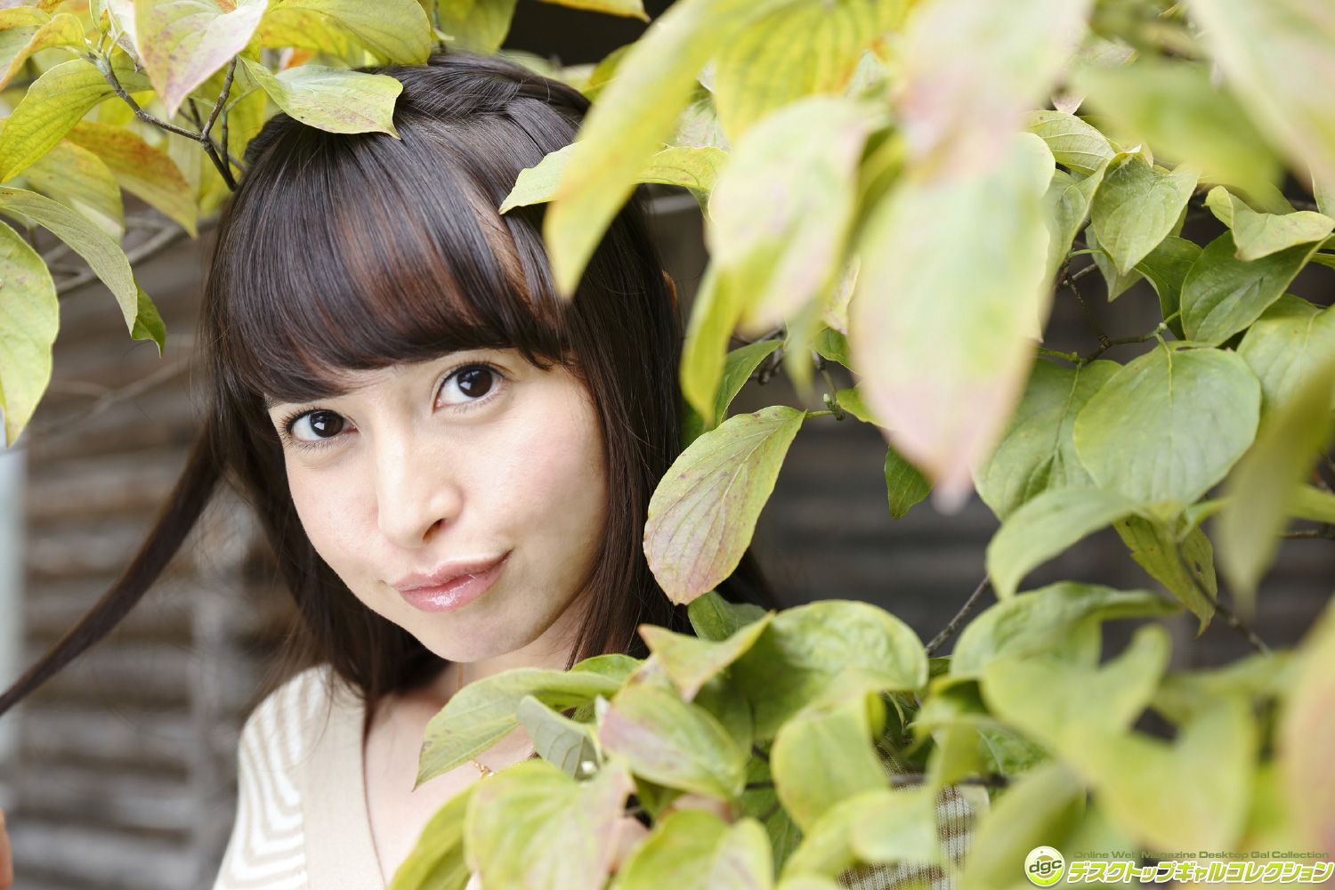 M940-西田藍《コスプレ大好きなハーフのインテリ美少女！》 [DGC] NO.1270 - 94零社区 DGC-第3张